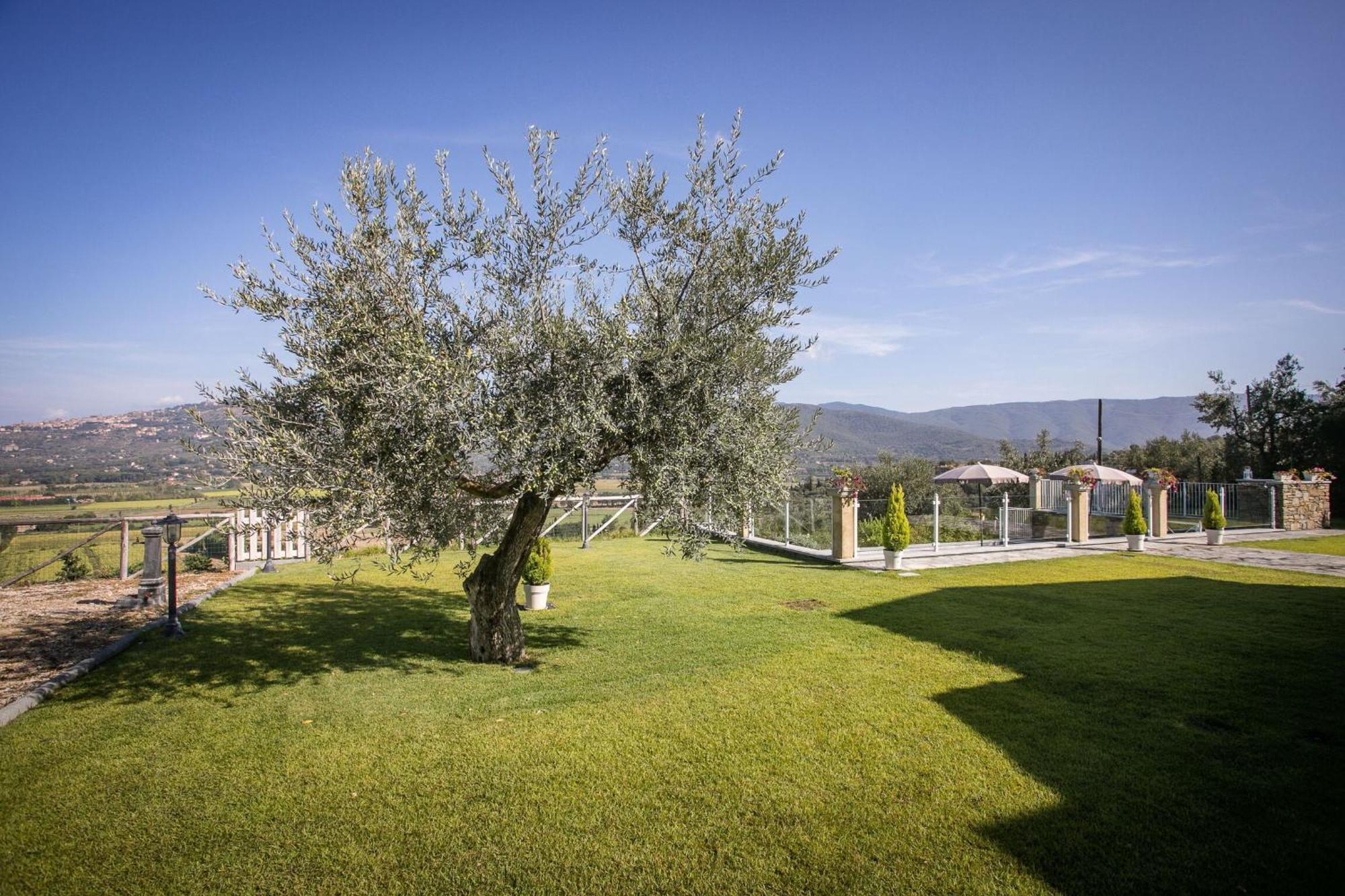Villa Chiara Cortona Ngoại thất bức ảnh
